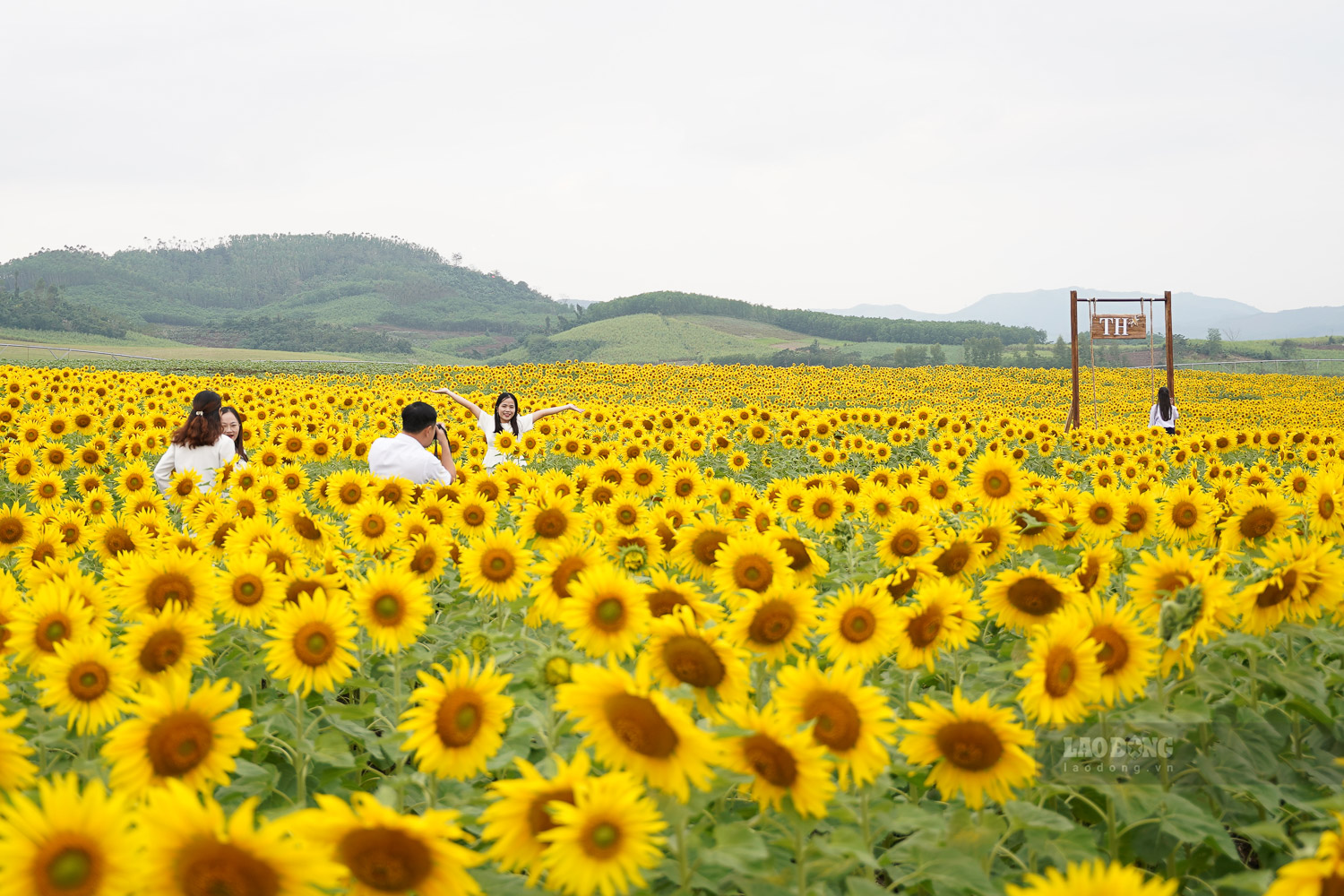 Những điểm check-in được bố trí dọc lối đi giúp du khách có những khuôn hình sáng tạo, độc đáo.