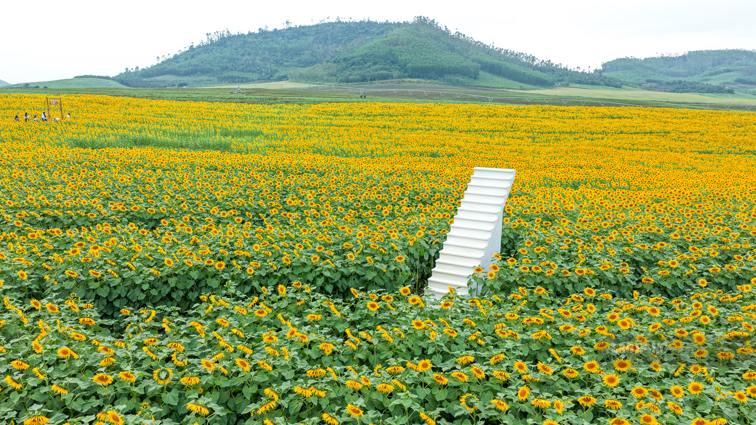 Ban quản lý bố trí tiểu cảnh xinh xắn, mang phong cách đồng quê tại nhiều vị trí để du khách có trải nghiệm du lịch đẹp.