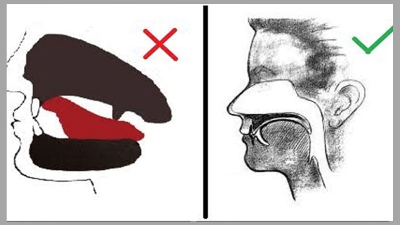 Tư thế lưỡi đúng khi tập mewing