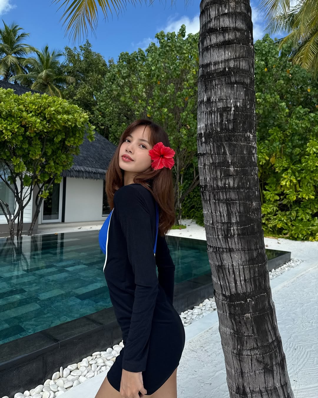 Lisa trang web hiện tại