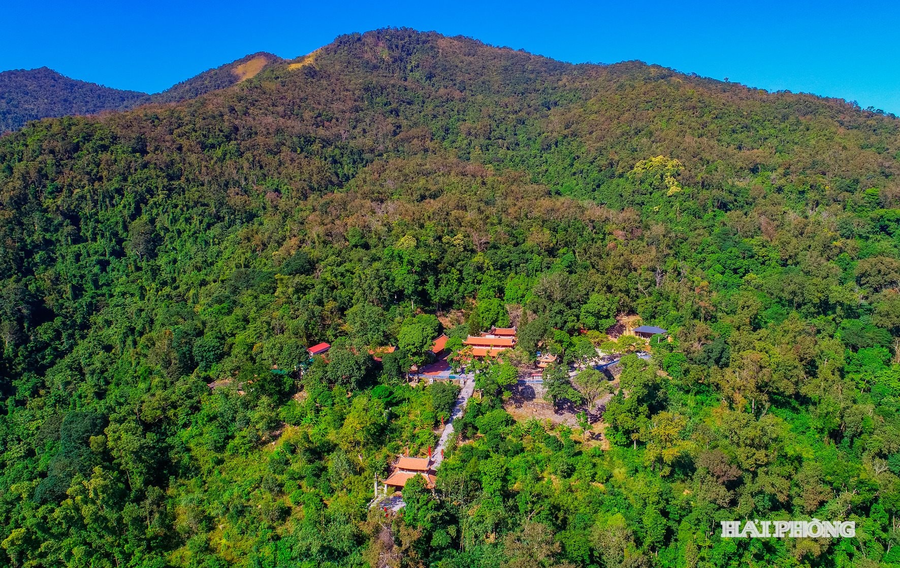 Khám phá khu rừng cổ quanh chùa Thanh Mai