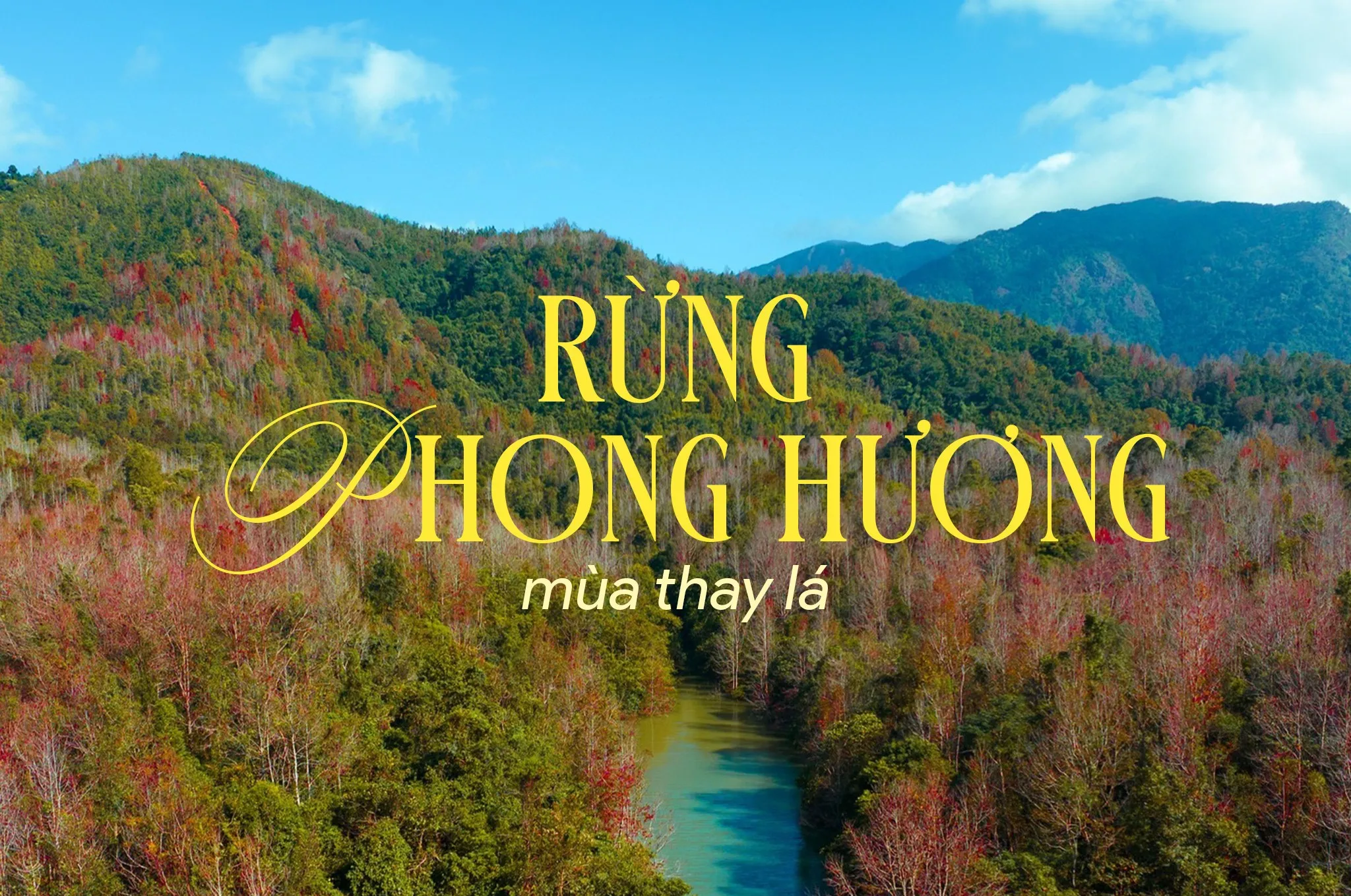 Quảng Trị mùa thay lá: Bản giao hưởng đỏ rực đại ngàn